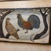 Pannello Gallo Cedrone - immagine 5