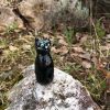 Gattino di ceramica nero - immagine 3